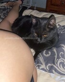 Анкета проститутки Наталья - метро Пресненский, возраст - 23